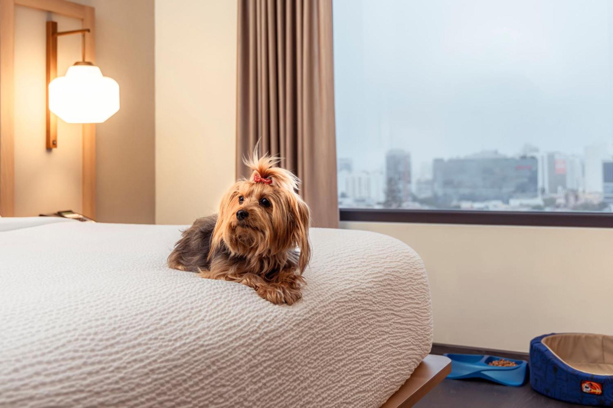 Fairfield By Marriott Lima Miraflores Екстер'єр фото